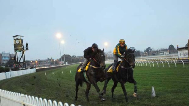 Melbourne Cup hopes Brightnight and Moatize at the track yesterday.