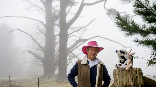 News
Barbara Carter 40 years ago asked Eurobodalla Shire to put a sign 'Pooh Corner, on the Clyde Mountain, to help break up the long road journey to the coast for their two children.
The Canberra Times
Date: 15 August 2015
Photo Jay Cronan
