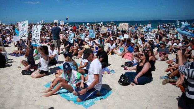An estimated 4000 people gathered at Cottesloe Beach on January 4 to protest the shark cull.