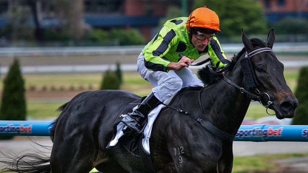 Shining: Commanding Jewel coasts to victory at Moonee Valley yesterday.