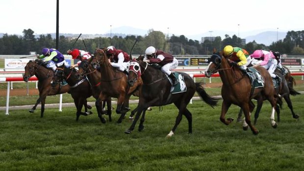 Glyn Schofield, 3rd from right, on Court Connection makes his move on the outside of the field to win the Canberra Centenary Cup in 2013.