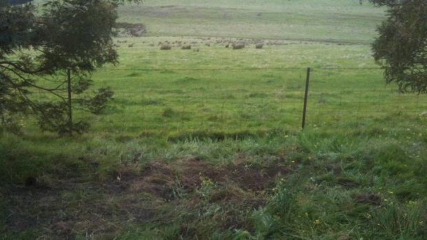 The shallow grave in Gisborne South whereJill Meagher's body was found early yesterday morning.