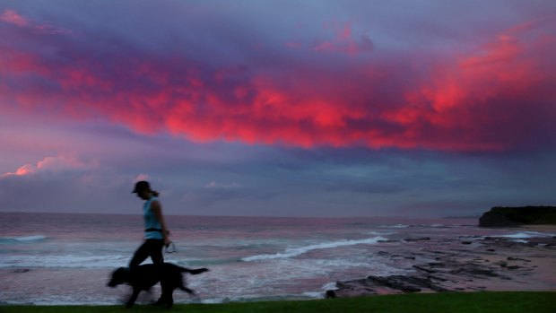 A hot night is forecast for much of Sydney.