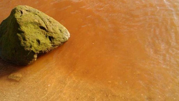 The orange shore at Botany Bay.