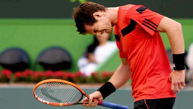 Bump in the road: Andy Murray reacts after losing a point against Germany's Florian Mayer at the Qatar Open.