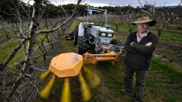 Orchardist Len Rayner fumes that city people are forcing their views down his throat, to the extent that he can't even net his fruit trees.