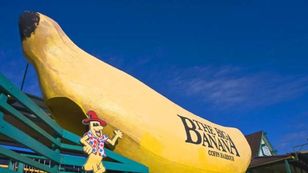Going bananas ... the original Big Banana still sits beside the Pacific Highway.