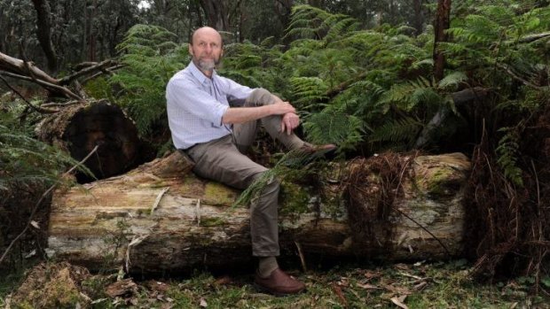 Author, publisher and artist Julian Davies on his rural property near Braidwood, NSW.