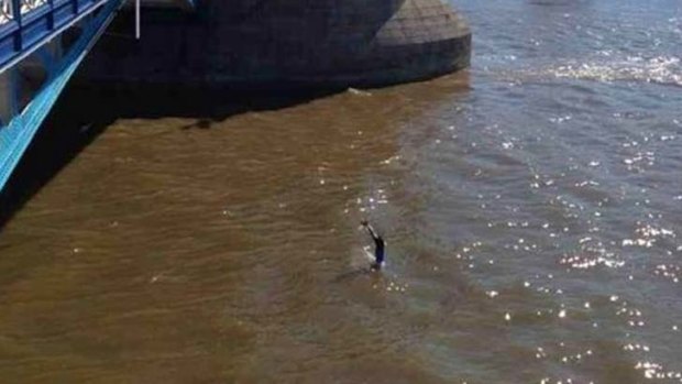 "He could easily have killed himself" ... a man was arrested after leaping off Tower Bridge.