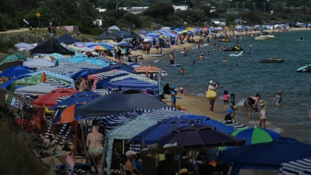 Cabanas being set up at a popular beach