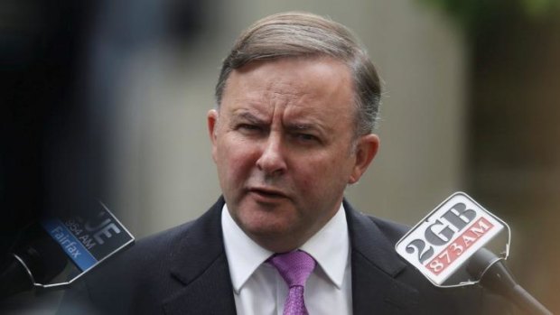Anthony Albanese says the new terror laws needed "greater scrutiny" before they were passed.
