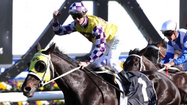 Zac Purton guides Sacred Falls to victory in the group 1 George Main Stakes at Randwick on Saturday.