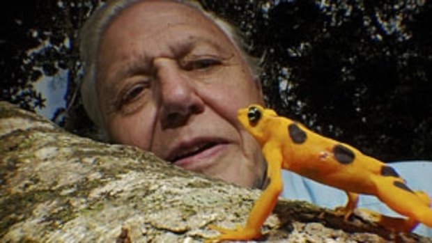 
David Attenborough with some of the reptiles in Life In Cold Blood.