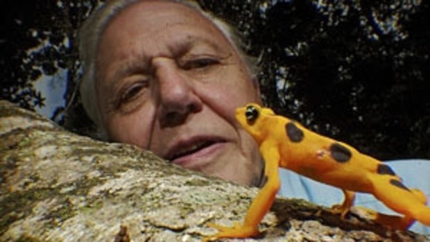 David Attenborough - a rare species