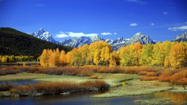 Yellowstone National Park.