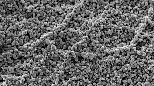Close-up of the nanostructures grown on cotton textiles by the researchers. Image magnified 150,000 times.