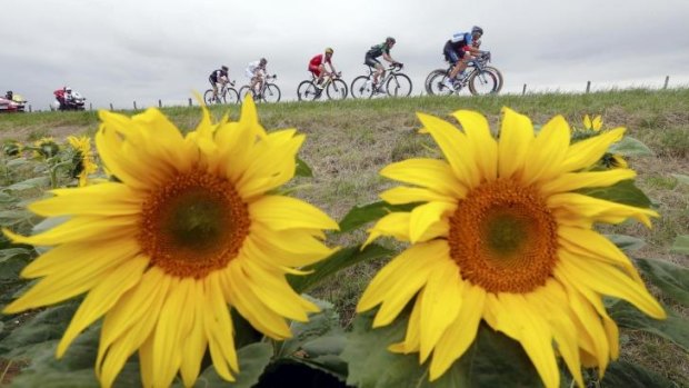 In bloom: The sights and sounds of France are part of the lure of the Tour.