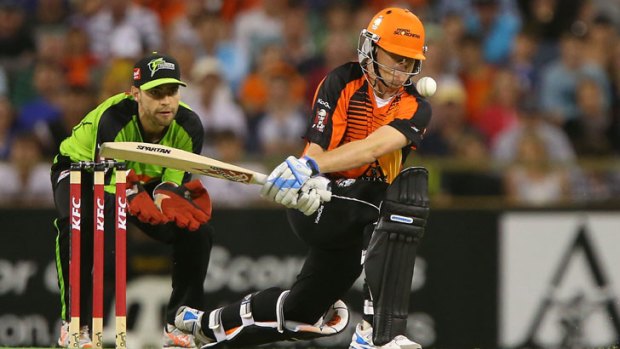 Marcus North of the Scorchers attempts to sweep during the Big Bash League match between the Perth Scorchers and the Sydney Thunder at WACA.
