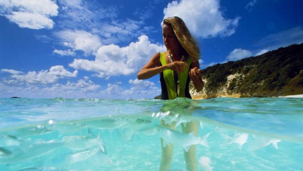 Feeding the fish at Ned's Beach Reserve, Lord Howe Island.