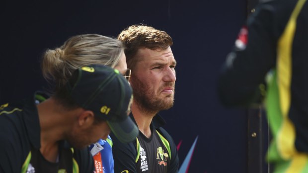 On the outer: Aaron Finch should open, say Warne and North.
  