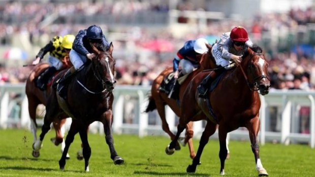 Royal company: Toronado (right) won the Queen Anne Stakes at Ascot on Tuesday.