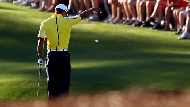 The moment that mattered ... Tiger Woods takes his drop shot on the 15th.