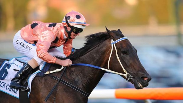 Black Caviar, Luke Nolan up, races to win her 17th straight race at Moonee Valley.