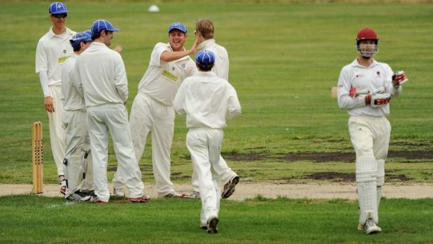 Queanbeyan players celebrate the wicket of Wests' Darren Richards at Freebody Oval.