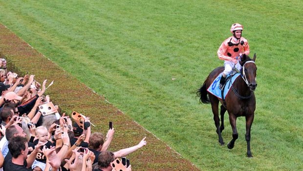 Black Caviar with Luke Nolen in the saddle after she recorded her 18th win.