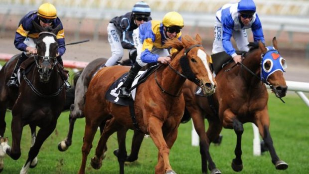 Play Master, Jye McNeil up, wins the Hogan and Nield Handicap at Flemington on Saturday.