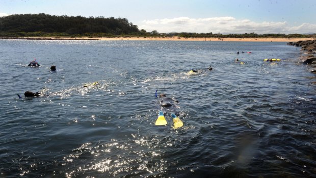 Queensland's dive industry prepares to meet with the state government following the fourth death in far north waters in less than a month.