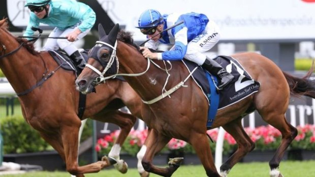 Big team: Permit is one of six Chris Waller has in the Mayors Cup.