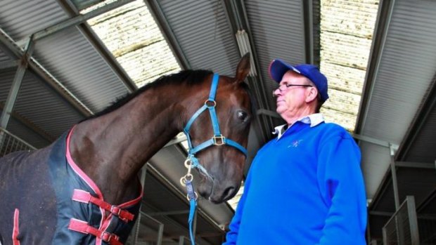 Confident: Trainer Robert Smerdon, pictured here with another of his charges, Pole Paradise, believes Under the Louvre has what it takes in Saturday's Scone Guineas.