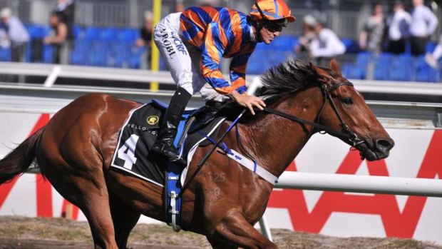 Back up: Anthony Cummings' speedster Fontelina will aim to follow up his win at Flemington on Derby day in the VRC Sprint Classic on Saturday.