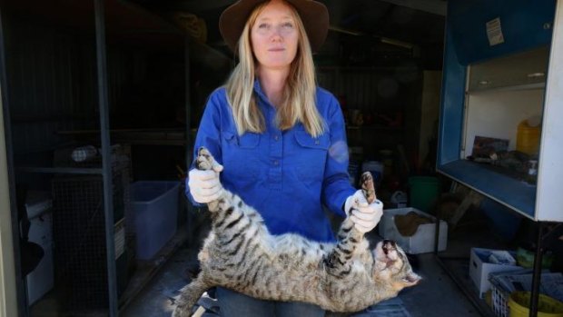 Dr Katherine Moseby at the research station with a feral cat that has been caught on the station's land.