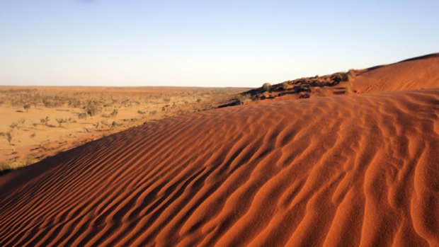 Daunting ... the Simpson Desert covers 176,500 square kilometres.
