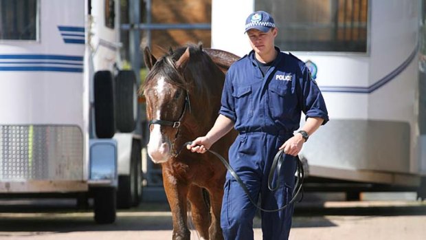 Saddle up: NSW Mounted Police are moving to Yaralla Estate.