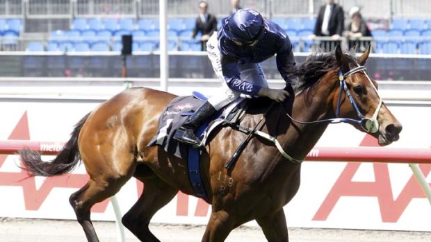 Hamstrung &#8230; Atlantic Jewel's spring charge has been cut short by injury.