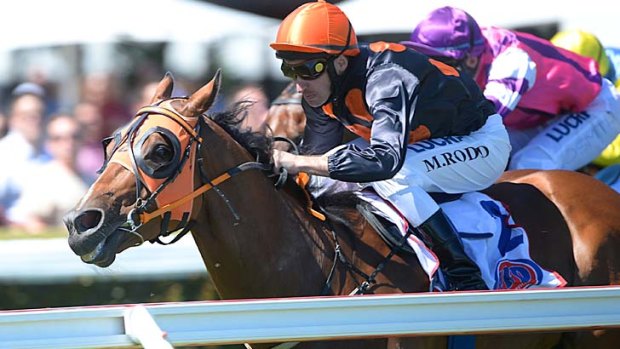 All the way: Michael Rodd steers Vatican to the line in the Doveton Stakes at Caulfield on Saturday.
