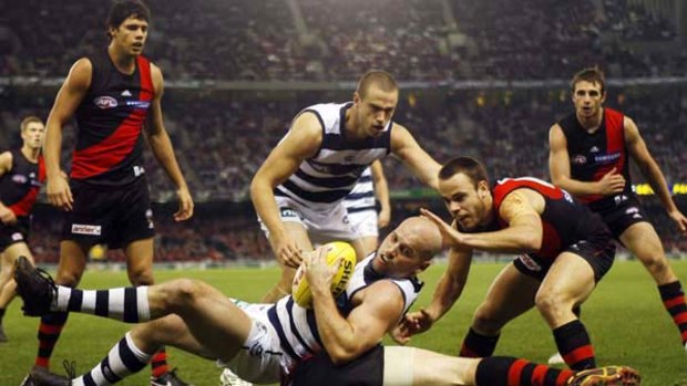 Paul Chapman takes a strong mark during the Cats' 71-point thrashing of Essendon last night at Etihad Stadium.