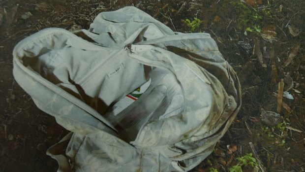 A bag where Reginald Mullaly's body was found.