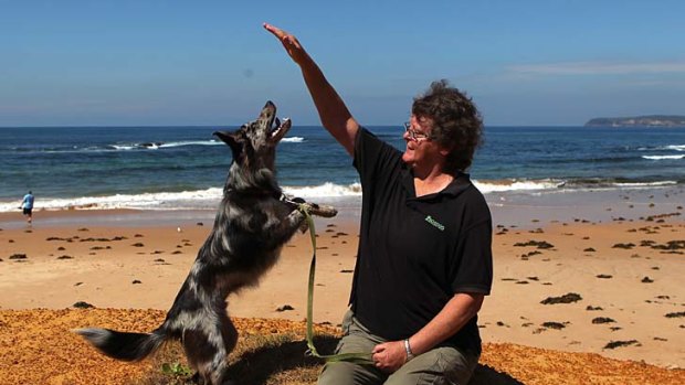 We will fight them on the beaches ... Lorna Miller with her dog, Spook, beside Long Reef.