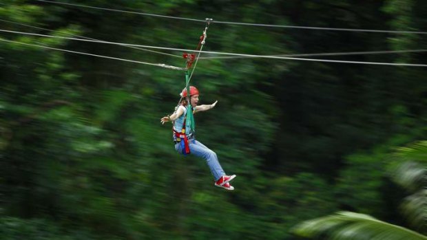 Jungle surfing through the Daintree Rainforest.