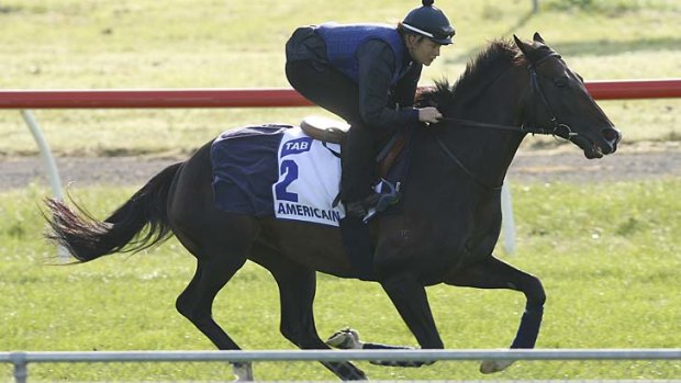 Former Melbourne Cup winner Americain, with Stephanie Nigge in the saddle, stretches out in quarantine at Werribee this week.