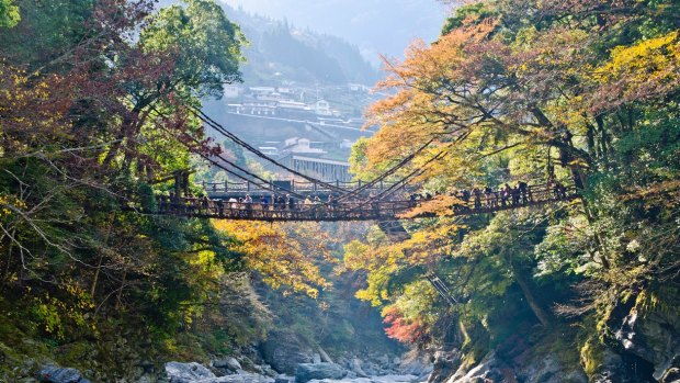 The Iya valley and Kazurabashi bridge, Tokushima, Shikoku, Japan.