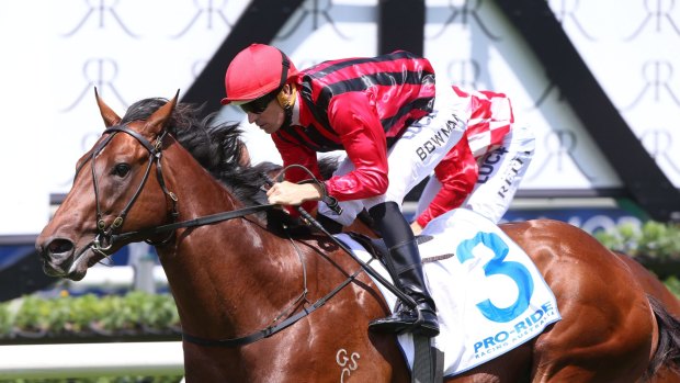 Testing time: Good Standing will take on key rivals in the Stan Fox Stakes.