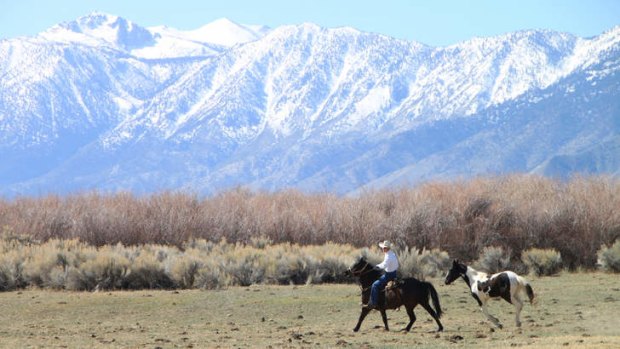 Ride 'em cowboy: Wrangler Rich at his property.