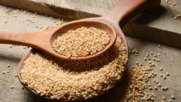 Sorghum grains.