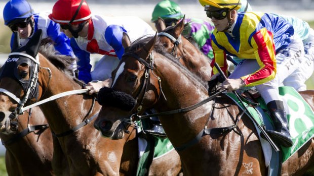 Victory at headquarters: Jay Ford pilots Kingdoms to his Randwick triumph.