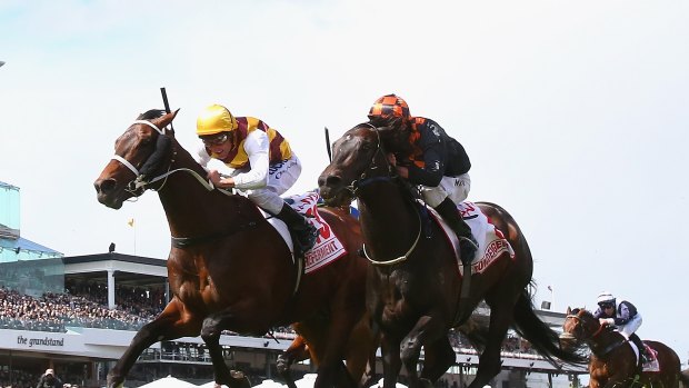 Bound for glory: Preferment and Damien Oliver (yellow cap) take out the Victoria Derby on Saturday.
